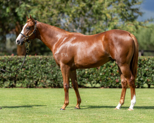 Lot 268: Stay Inside / Abscond