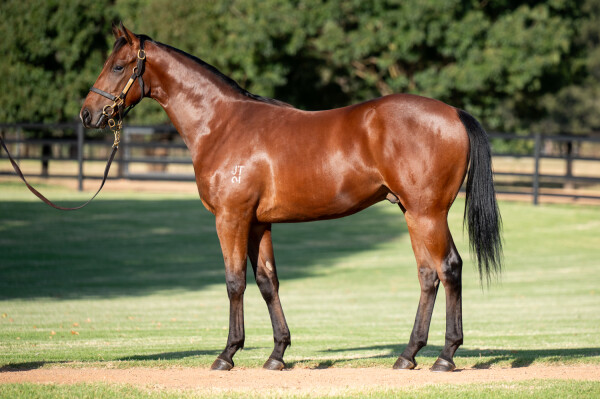 Lot 22: Bivouac / Lake Como (NZ)