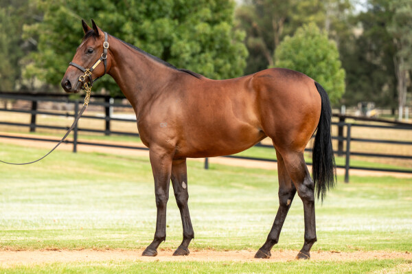 Lot 27: Bivouac / Leather'n'lace