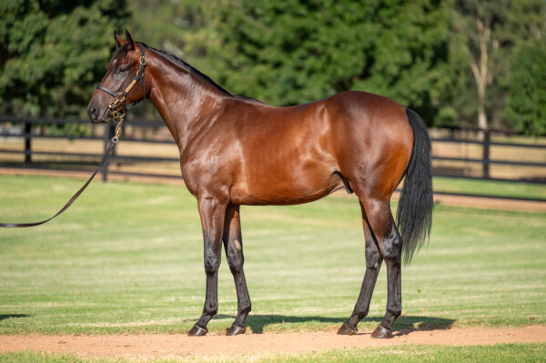 Lot 57: I Am Invincible / Meuse
