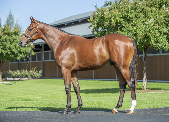 Lot 43: The Autumn Sun / Madrigals