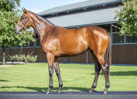 Lot 65: The Autumn Sun / Miss Dodwell