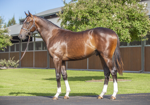 Lot 212: Maurice (JPN) / Teaspoon