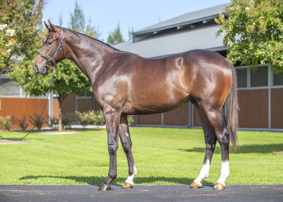 Lot 407: The Autumn Sun / Hole in Ten