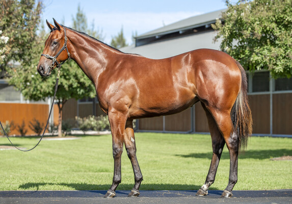 Lot 408: I Am Invincible / Honesty Prevails