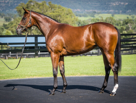 Lot 108: I Am Invincible / Pippie