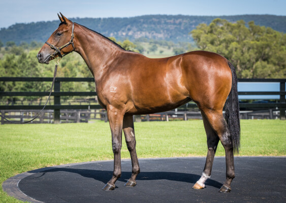 Lot 130: The Autumn Sun / Rosental (GB)