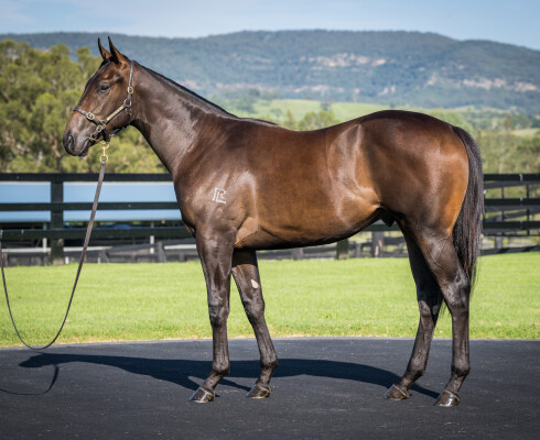 Lot 184: I Am Invincible / Spright