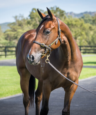 Lot 130: The Autumn Sun / Rosental (GB)