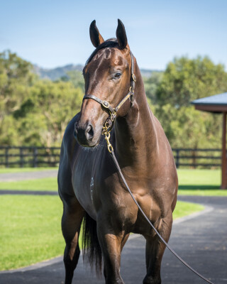 Lot 184: I Am Invincible / Spright