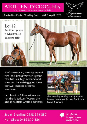 Lot 12: Written Tycoon / Khalama