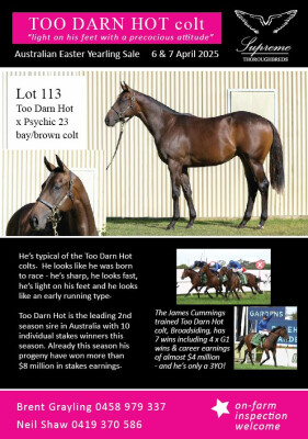Lot 113: Too Darn Hot (GB) / Psychic