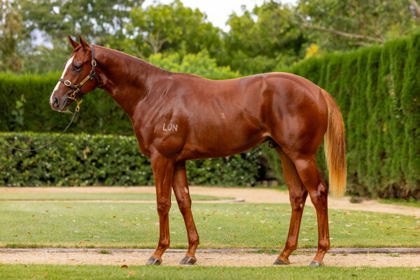 Lot 369: St Mark's Basilica (FR) / Fabergino