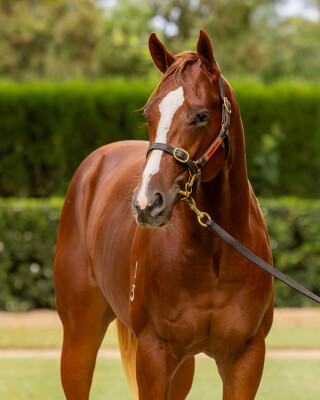 Lot 369: St Mark's Basilica (FR) / Fabergino