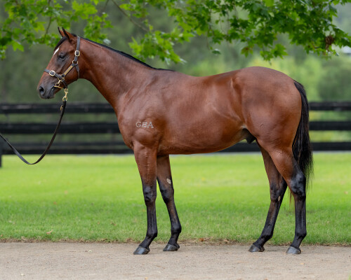 Lot 395: Stay Inside / Gust of Wind (NZ)