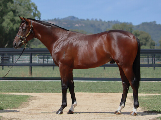 Lot 389: Stay Inside / Glowing Red