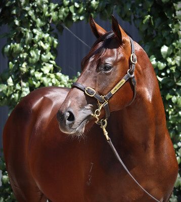 Lot 389: Stay Inside / Glowing Red