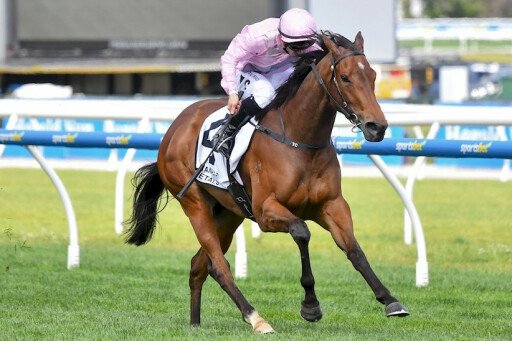 Too Darn Lizzie set to star at The Chairman's Sale