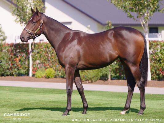 Lot 267: Wootton Bassett (GB) / Zouzarella