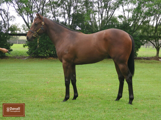 Lot 357: Farnan / Enide (GB)