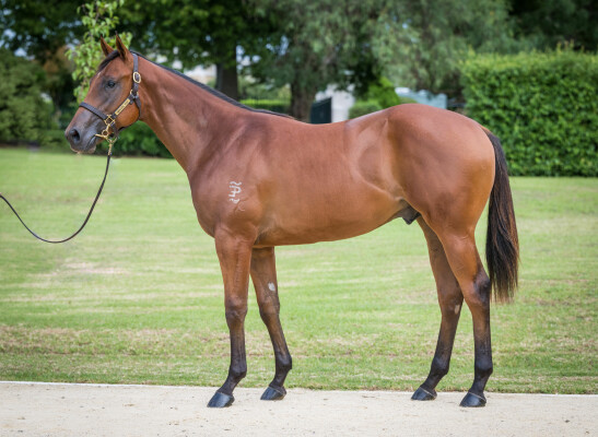 Lot 51: I Am Invincible / Maroon Bay