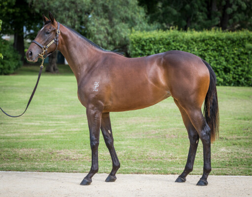 Lot 74: Tassort / Mossfun