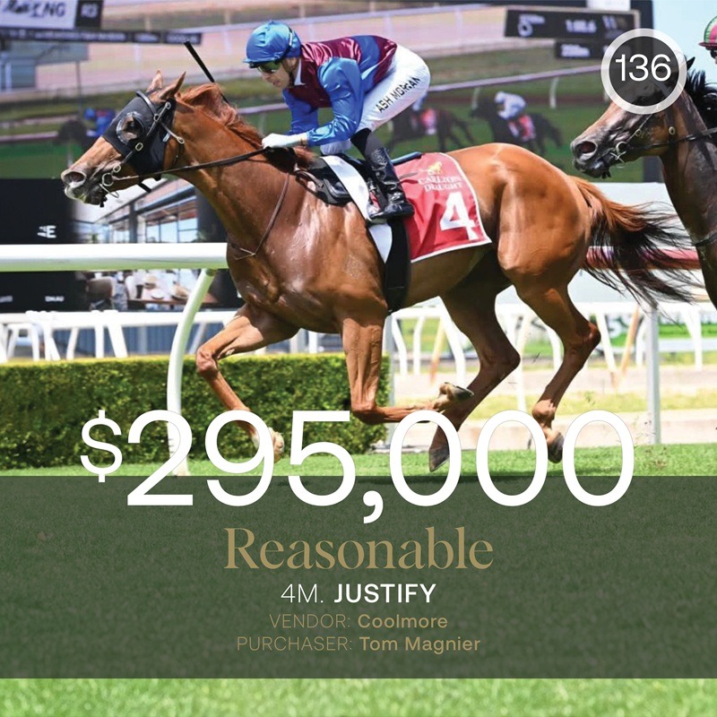  Reasonable leads the way as fillies and mares dominate March (Late) Digital Sale