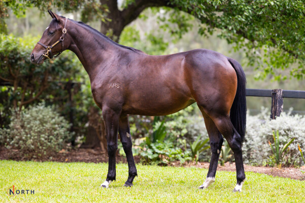 Lot 9: Frankel (GB) / Kapralova (USA)