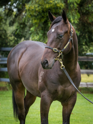 Lot 69: Pierro / Miss West Coast