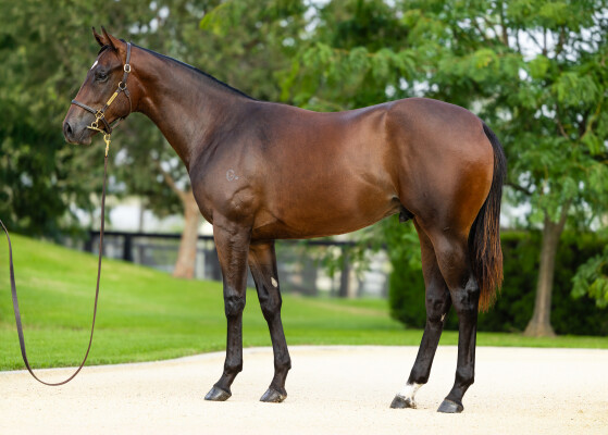 Lot 32: Stay Inside / Lombardia