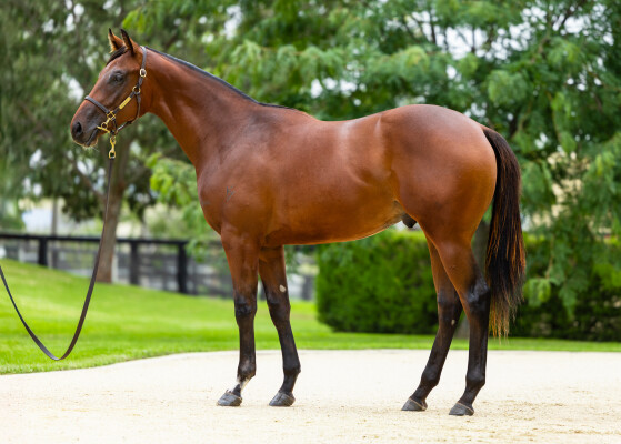 Lot 380: I Am Invincible / Forever Loved (NZ)