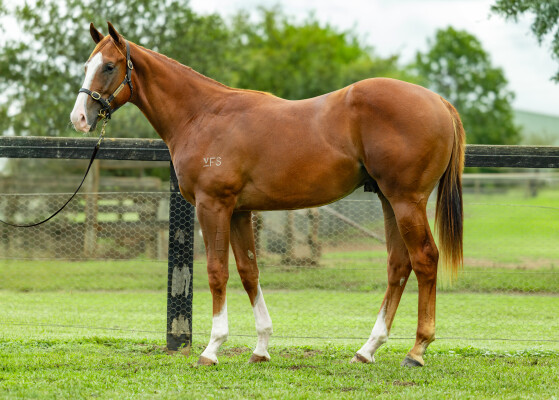 Lot 368: Ole Kirk / Eye for Fun