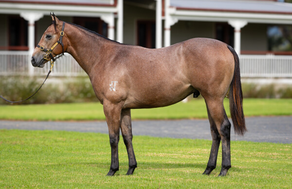 Lot 121: St Mark's Basilica (FR) / Reverse