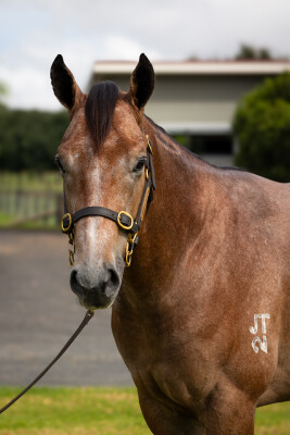 Lot 121: St Mark's Basilica (FR) / Reverse