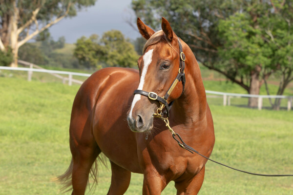 Lot 400: Stay Inside / Her Empire