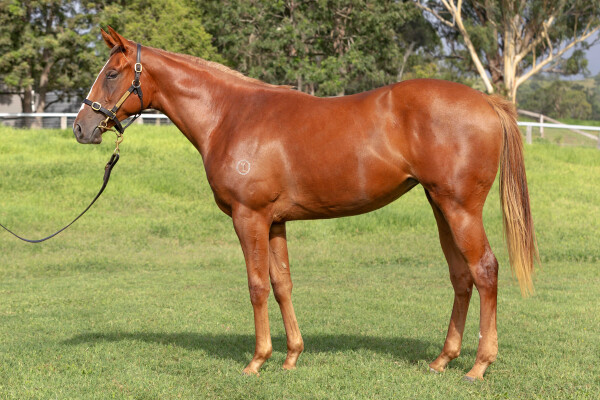 Lot 400: Stay Inside / Her Empire