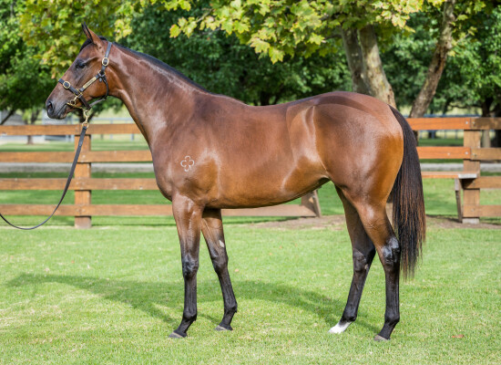 Lot 178: Too Darn Hot (GB) / Sort After