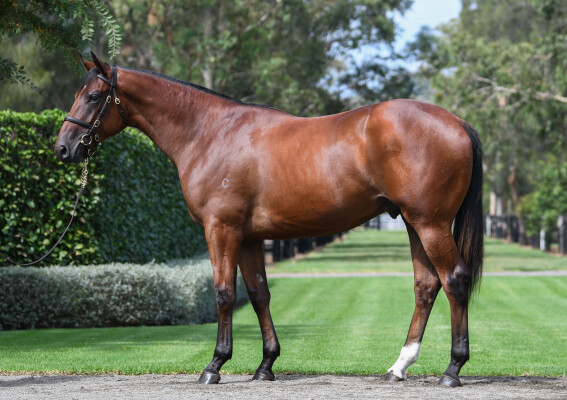 Lot 393: Wootton Bassett (GB) / Grappa di Moscato