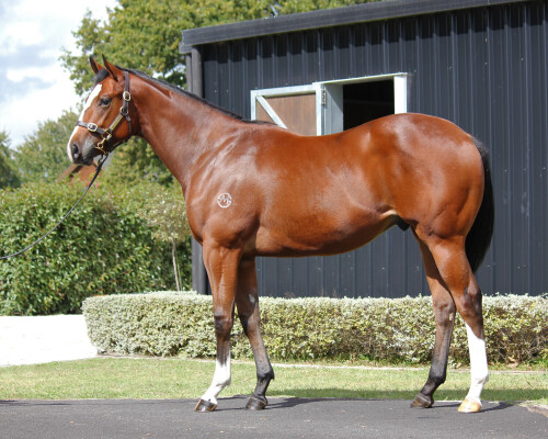 Lot 147: Home Affairs / Secret Doubt