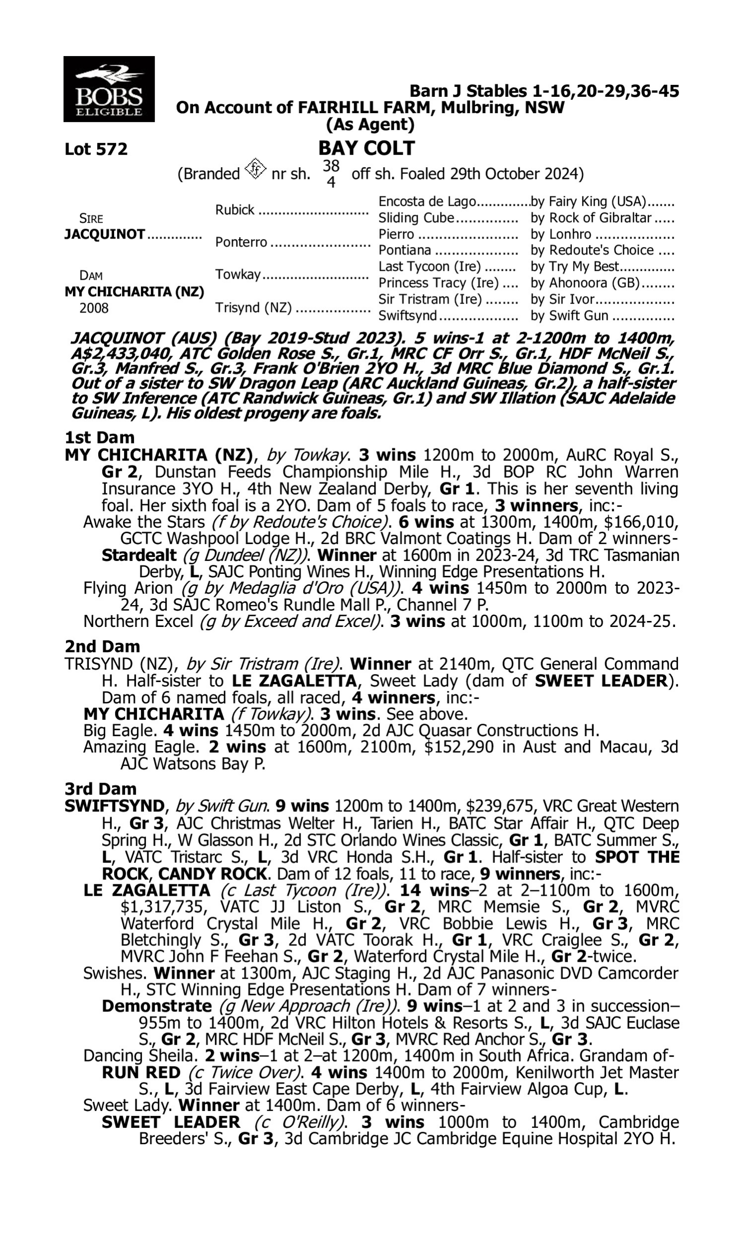 Pedigree for Lot 572 Jacquinot - My Chicharita (NZ)