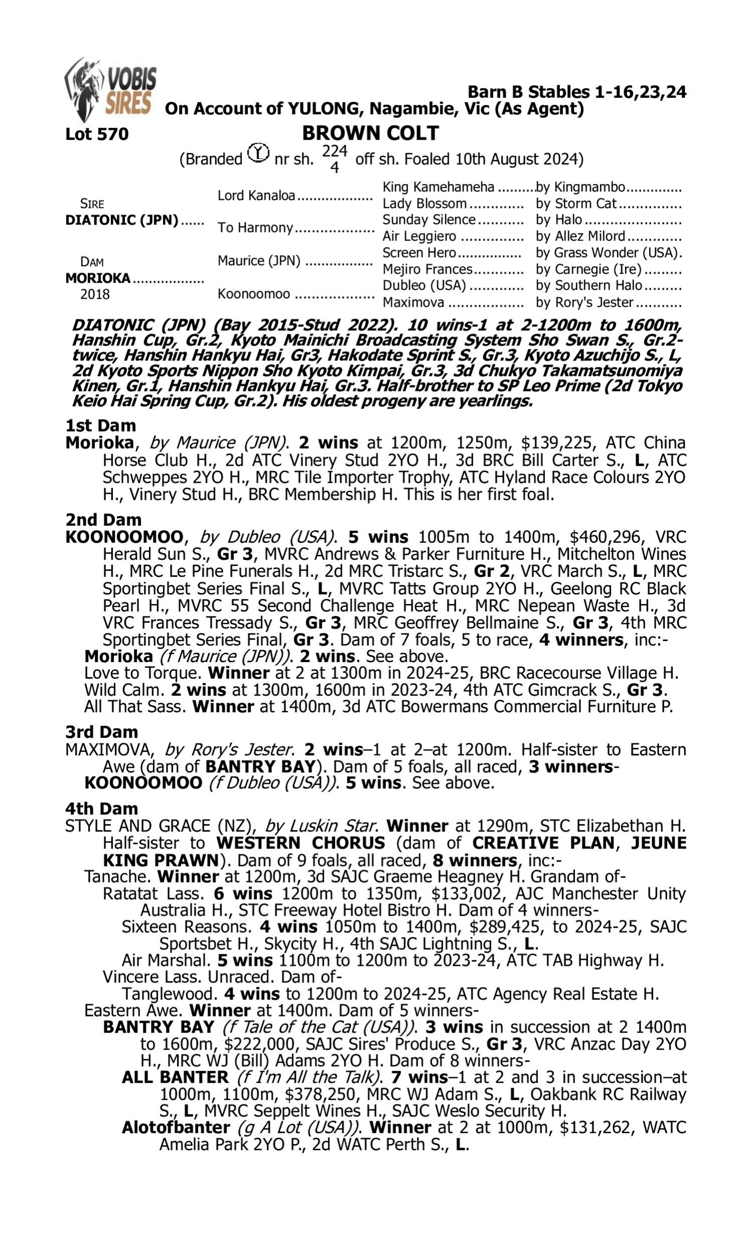 Pedigree for Lot 570 Diatonic (JPN) - Morioka