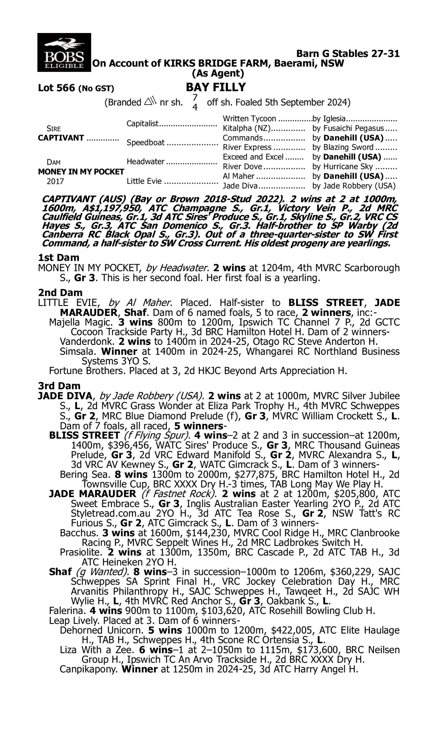 Pedigree for Lot 566 Captivant - Money in My Pocket