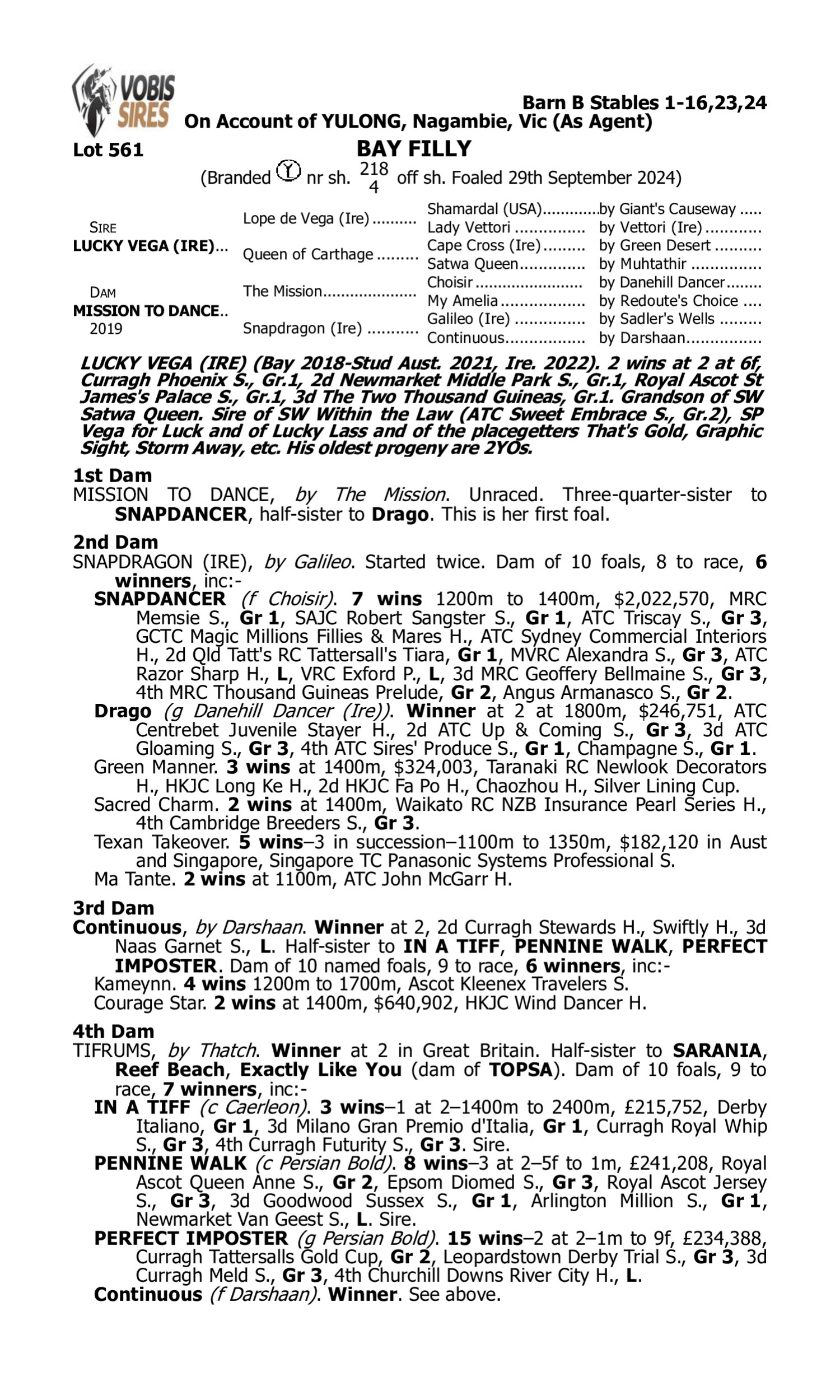Pedigree for Lot 561 Lucky Vega (IRE) - Mission to Dance