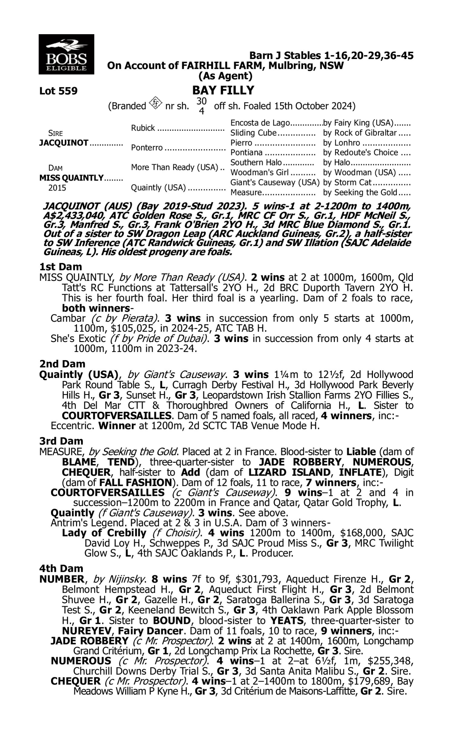 Pedigree for Lot 559 Jacquinot - Miss Quaintly