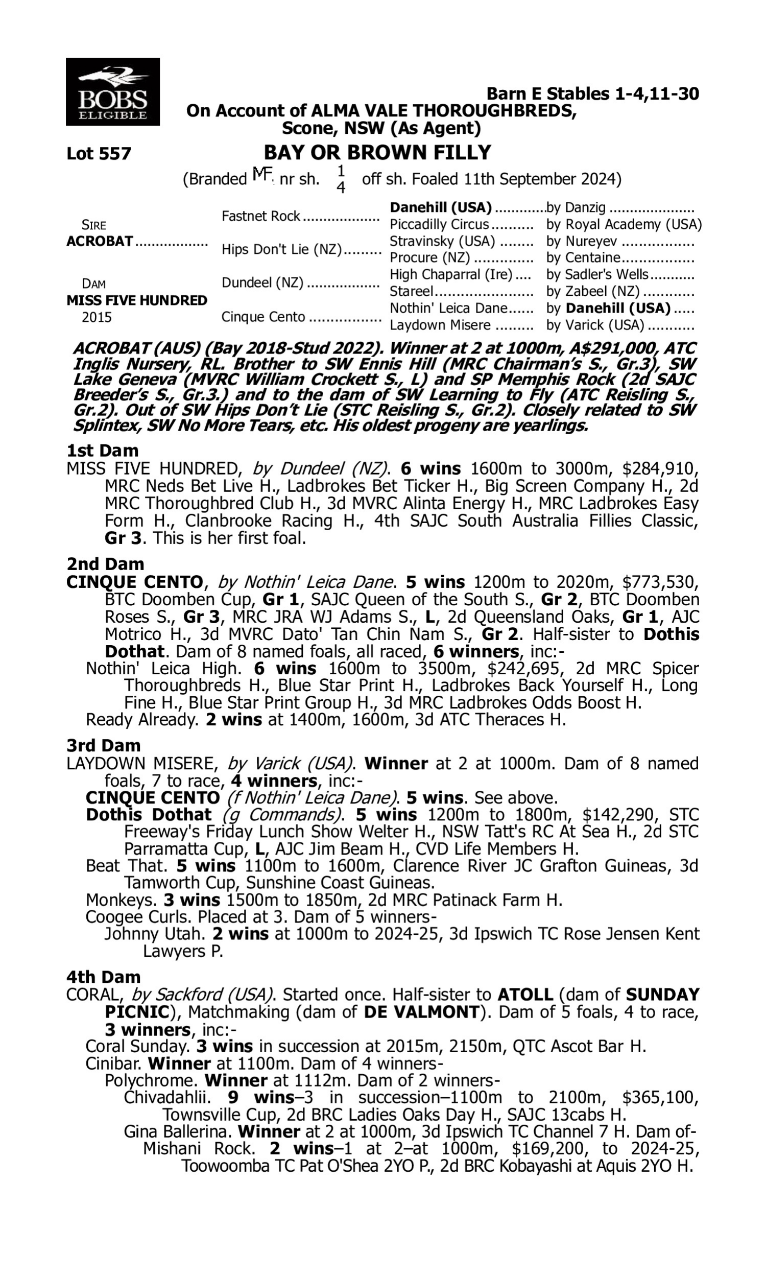 Pedigree for Lot 557 Acrobat - Miss Five Hundred