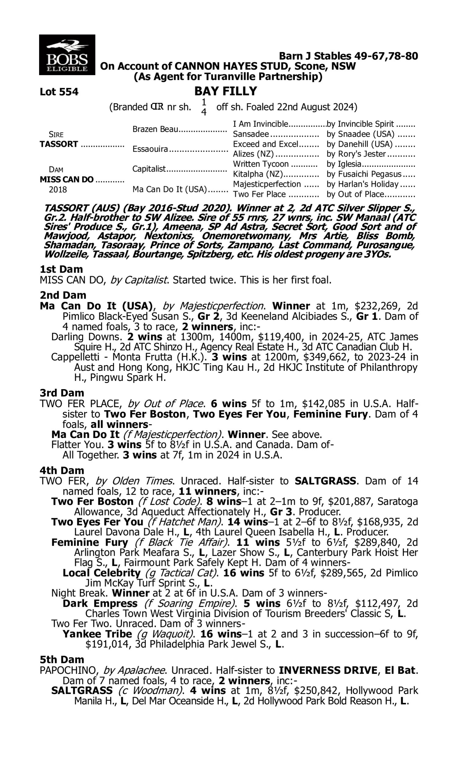 Pedigree for Lot 554 Tassort - Miss Can Do