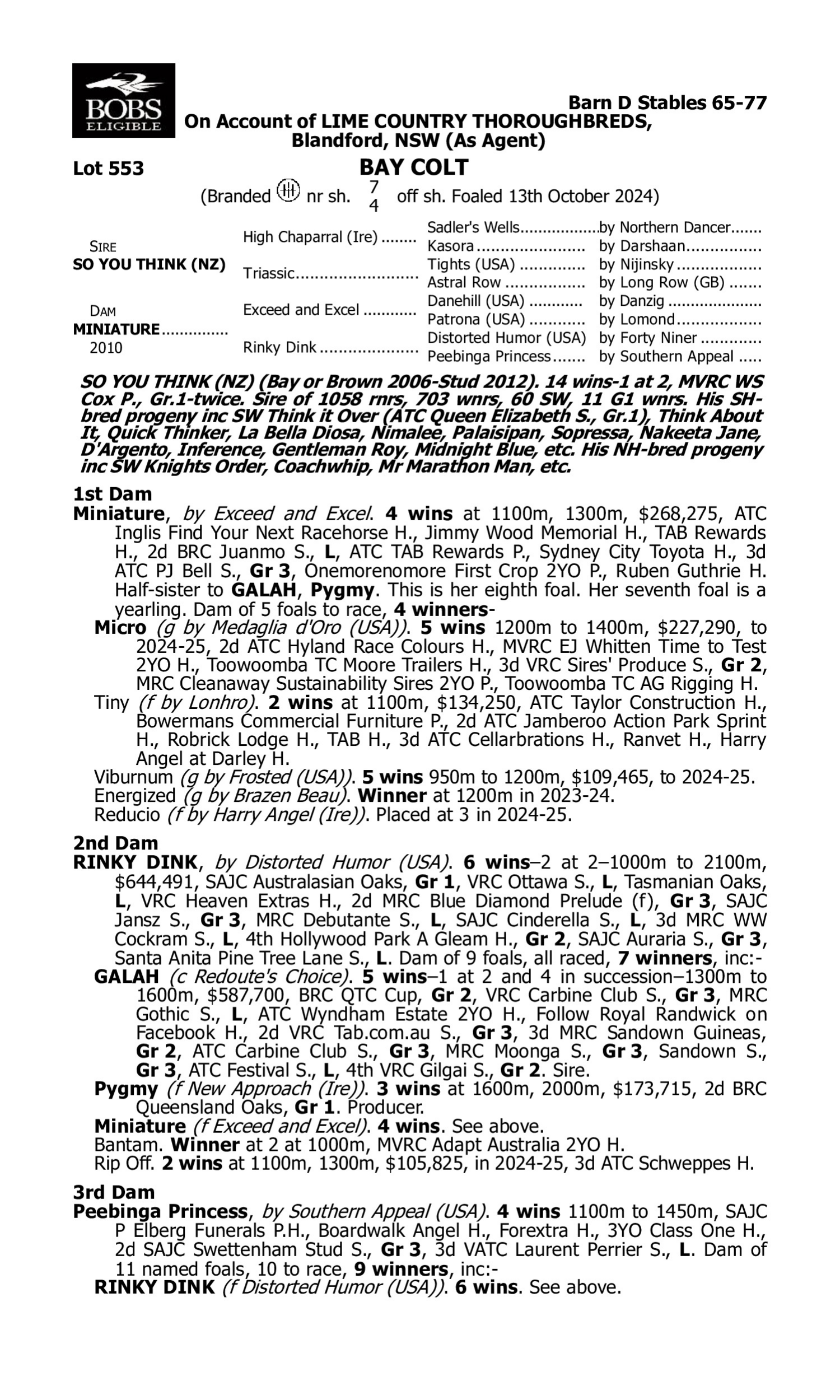 Pedigree for Lot 553 So You Think (NZ) - Miniature