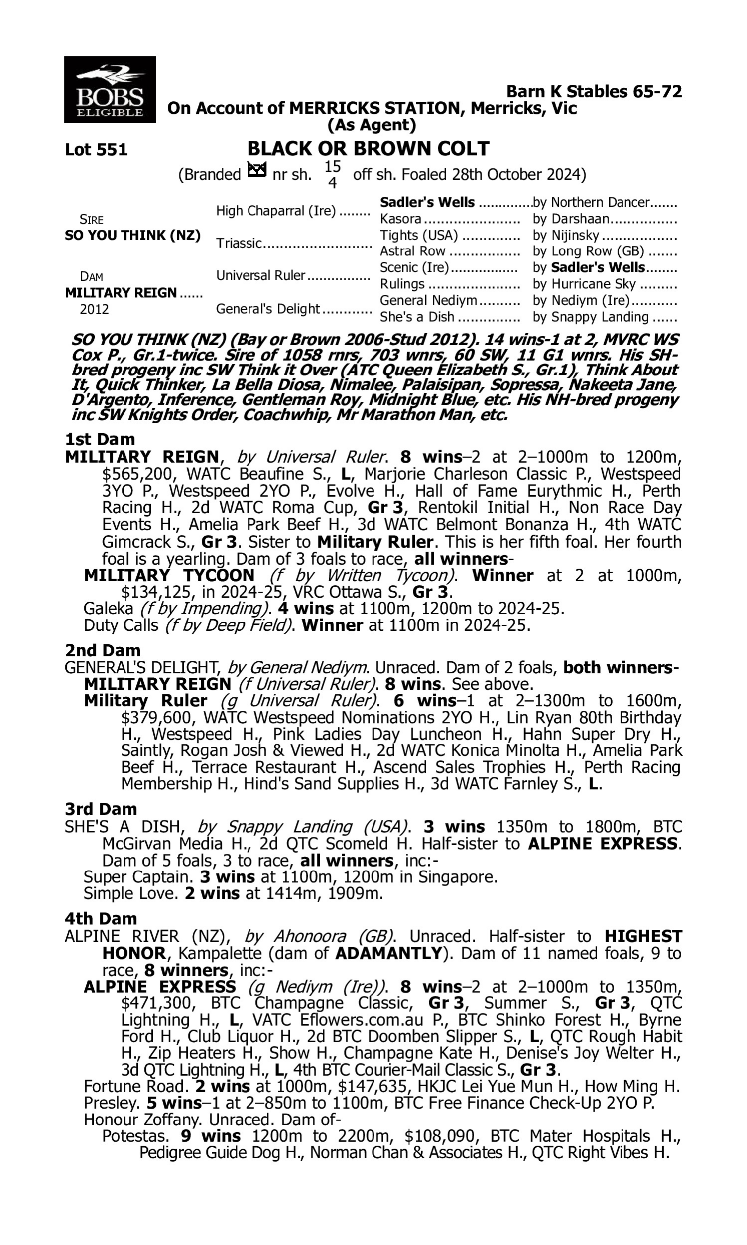 Pedigree for Lot 551 So You Think (NZ) - Military Reign