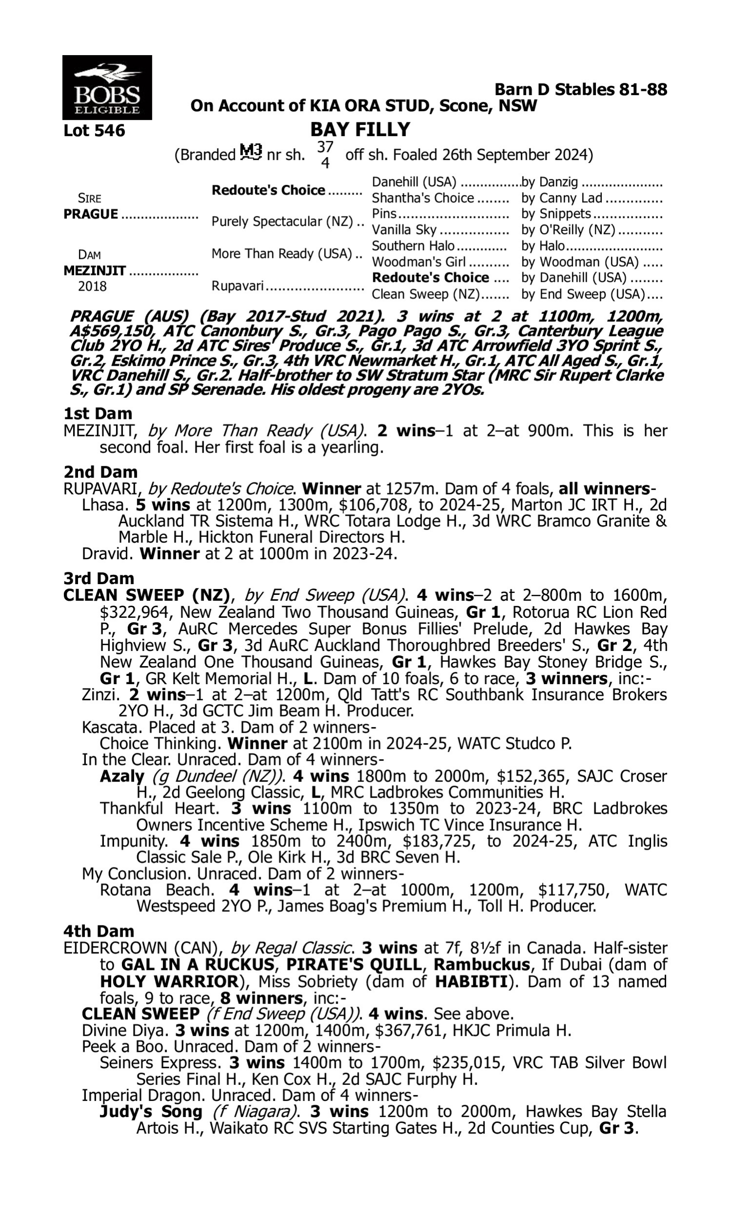 Pedigree for Lot 546 Prague - Mezinjit