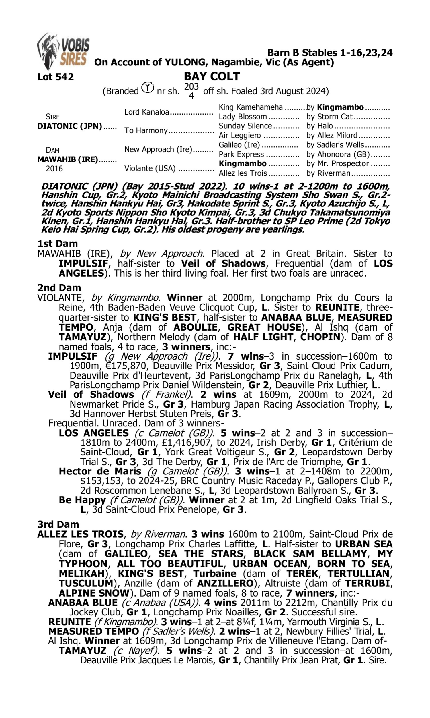 Pedigree for Lot 542 Diatonic (JPN) - Mawahib (IRE)